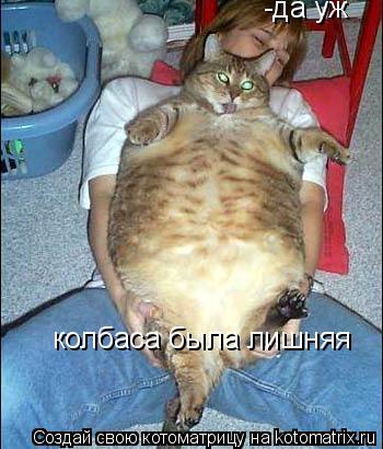 Котоматрица: -да уж  колбаса была лишняя