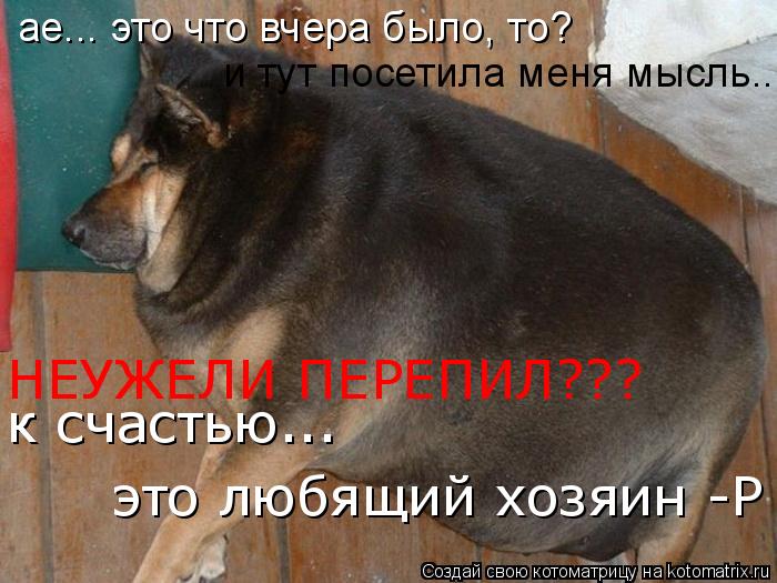 Котоматрица: ае... это что вчера было, то? и тут посетила меня мысль... НЕУЖЕЛИ ПЕРЕПИЛ??? к счастью... это любящий хозяин -Р