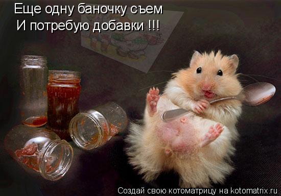 Котоматрица: Еще одну баночку съем И потребую добавки !!!