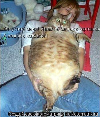 Котоматрица: Отпустите меня! Я вам не мешок с картошкой! А мешок с колбасой!
