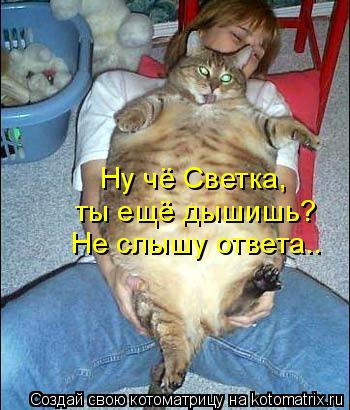 Ну чё Светка, ты ещё дышишь? Не слышу ответа..... Котоматрица: Ну чё Светка, ты ещё дышишь? Не слышу ответа..