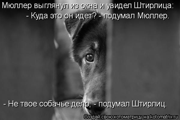 Мюллер выглянул из окна и увидел Штирлица: - Куда это он идет? - подумал Мюллер. - Не твое собачье ... Котоматрица: Мюллер выглянул из окна и увидел Штирлица: - Куда это он идет? - подумал Мюллер. - Не твое собачье дело, - подумал Штирлиц.
