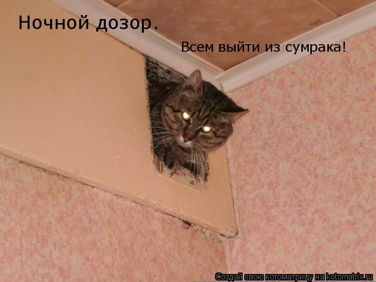 Ночной дозор. Всем выйти из сумрака!... Котоматрица: Ночной дозор. Всем выйти из сумрака!