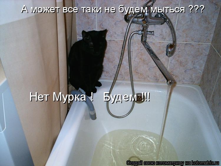 А может все таки не будем мыться ??? Нет Мурка ! Будем !!!... Котоматрица: А может все таки не будем мыться ??? Нет Мурка ! Будем !!!