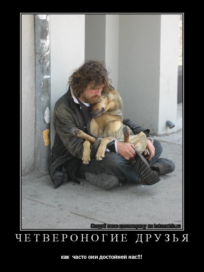 Котоматрица: четвероногие друзья как  часто они достойней нас!!!