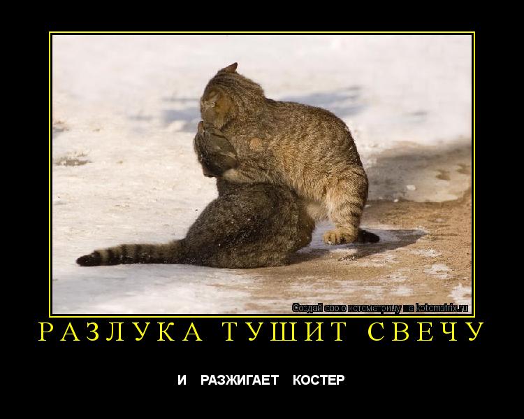 разлука тушит свечу И РАЗЖИГАЕТ КОСТЕР... Котоматрица: разлука тушит свечу И РАЗЖИГАЕТ КОСТЕР
