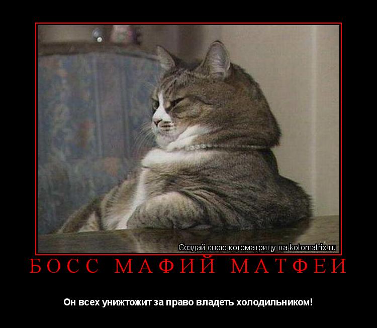 Босс мафий Матфеи Он всех унижтожит за право владеть холодильником!... Котоматрица: Босс мафий Матфеи Он всех унижтожит за право владеть холодильником!