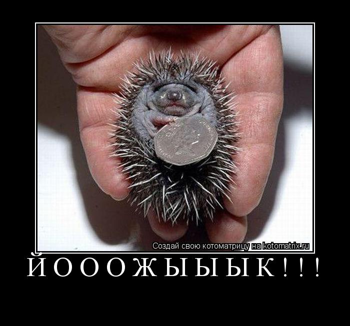 Котоматрица: ЙОООЖЫЫЫК!!! 