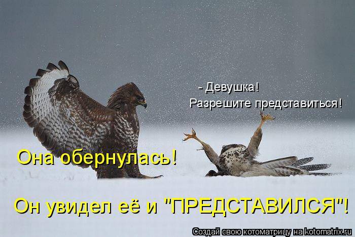 Котоматрица: - Девушка!  Разрешите представиться! Она обернулась! Он увидел её и "ПРЕДСТАВИЛСЯ"!