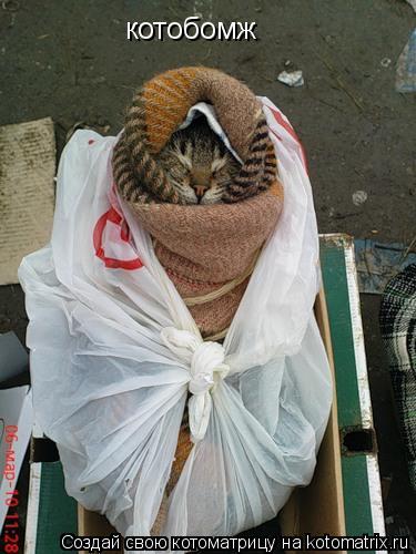 котобомж... Котоматрица: котобомж