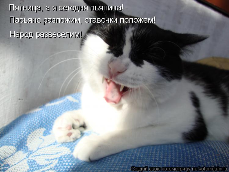 Пятница, а я сегодня пьяница! Пасьянс разложим, ставочки положем! Народ развеселим!... Котоматрица: Пятница, а я сегодня пьяница! Пасьянс разложим, ставочки положем! Народ развеселим!