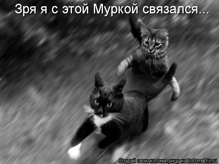 Котоматрица: Зря я с этой Муркой связался...