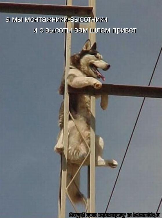 а мы монтажники-высотники и с высоты вам шлем привет... Котоматрица: а мы монтажники-высотники и с высоты вам шлем привет