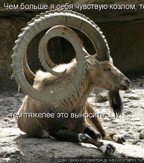 Чем больше я себя чувствую козлом, тем тяжелее это выносить Чем больше я себя чувствую козлом, тем тя... Котоматрица: Чем больше я себя чувствую козлом, тем тяжелее это выносить Чем больше я себя чувствую козлом, тем тяжелее это выносить тем тяжелее это вын