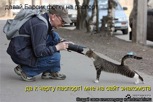 Котоматрица: давай,Барсик,фотку на паспорт да к черту паспорт! мне на сайт знакомств не помешает