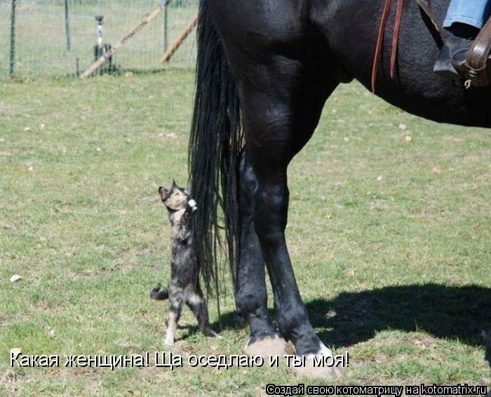 Какая женщина! Ща оседлаю и ты моя!... Котоматрица: Какая женщина! Ща оседлаю и ты моя!