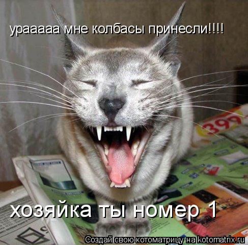 урааааа мне колбасы принесли!!!! хозяйка ты номер 1... Котоматрица: урааааа мне колбасы принесли!!!! хозяйка ты номер 1