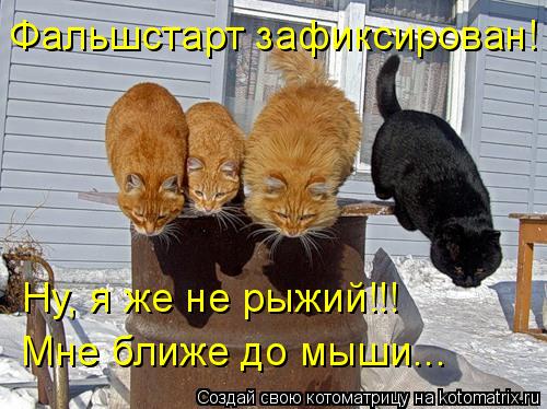 Котоматрица: Фальшстарт зафиксирован! Ну, я же не рыжий!!! Мне ближе до мыши...