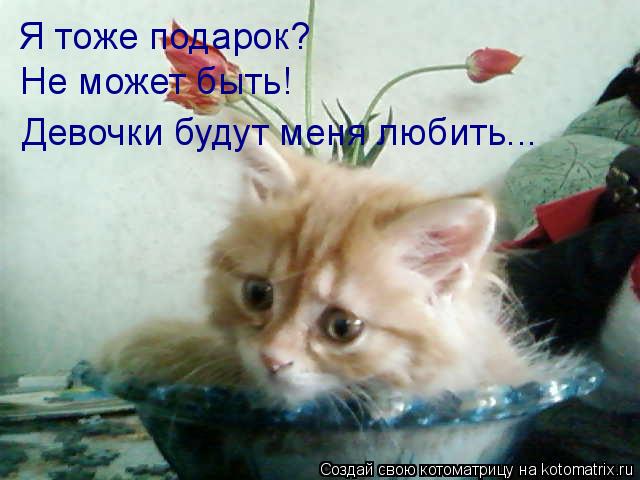 Котоматрица: Я тоже подарок? Не может быть! Девочки будут меня любить...