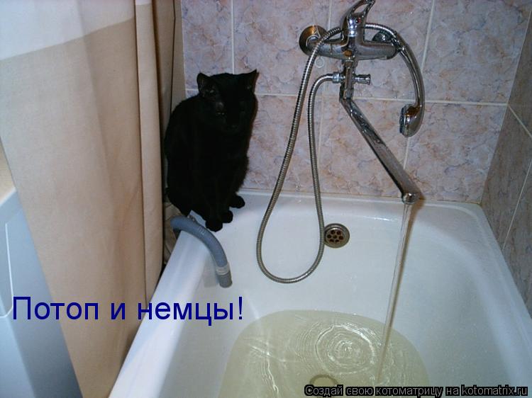 Котоматрица: Потоп и немцы!