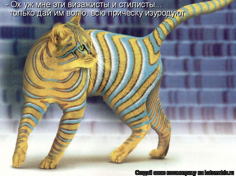 Котоматрица: - Ох уж мне эти визажисты и стилисты... только дай им волю, всю прическу изуродуют.