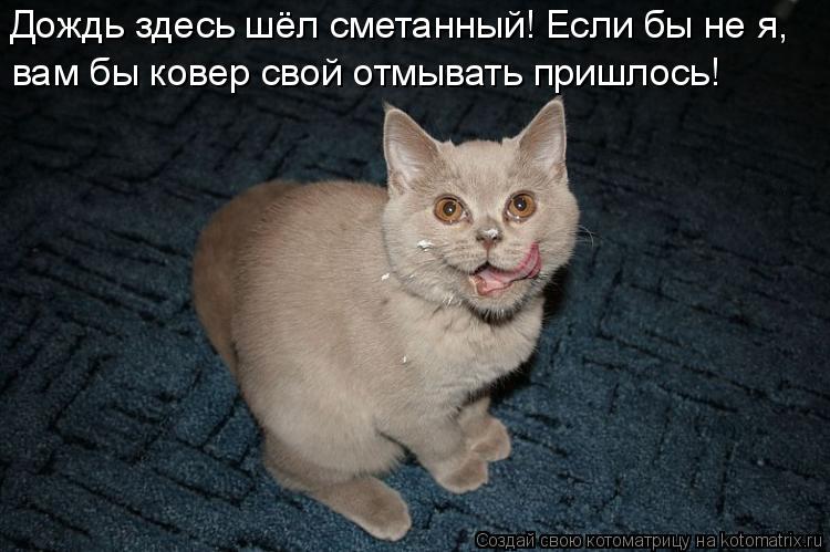 Котоматрица: вам бы ковер свой отмывать пришлось! Дождь здесь шёл сметанный! Если бы не я,