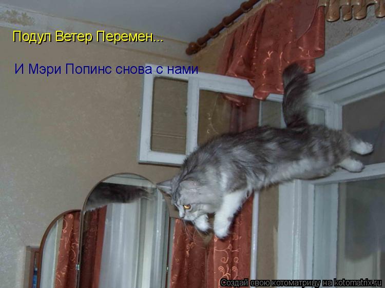 Подул Ветер Перемен... И Мэри Попинс снова с нами... Котоматрица: Подул Ветер Перемен... И Мэри Попинс снова с нами
