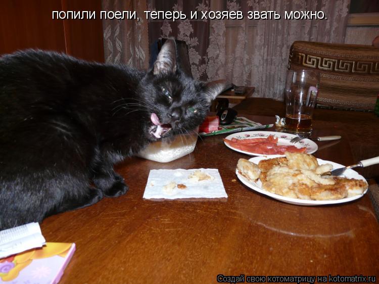 попили поели, теперь и хозяев звать можно.... Котоматрица: попили поели, теперь и хозяев звать можно.