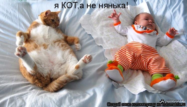я КОТ,а не нянька!... Котоматрица: я КОТ,а не нянька!