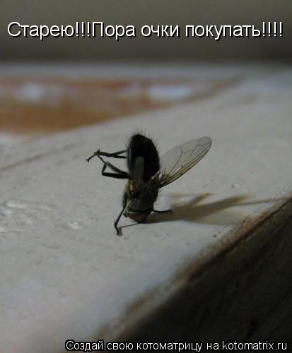 Старею!!!Пора очки покупать!!!!... Котоматрица: Старею!!!Пора очки покупать!!!!