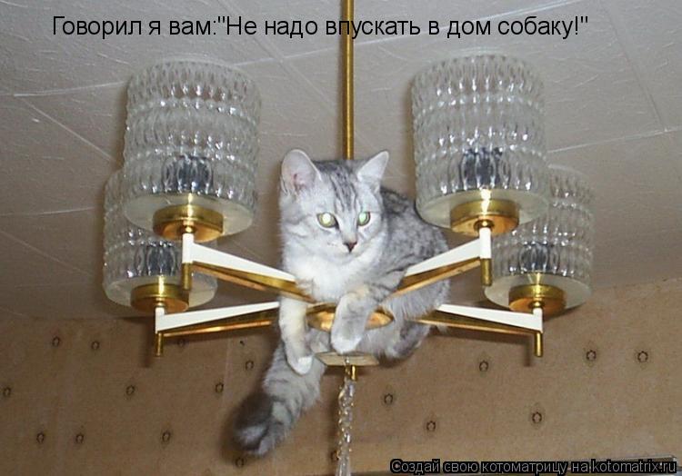 Котоматрица: Говорил я вам:"Не надо впускать в дом собаку!"