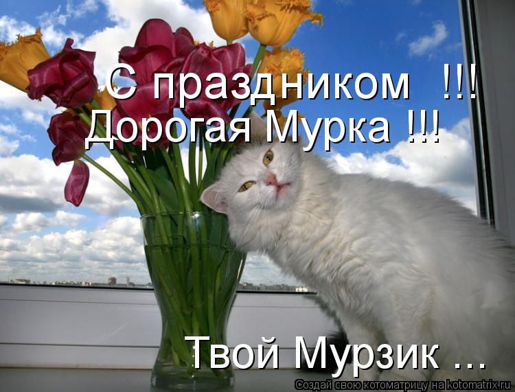 Котоматрица: С праздником  !!! Дорогая Мурка !!! Твой Мурзик ...