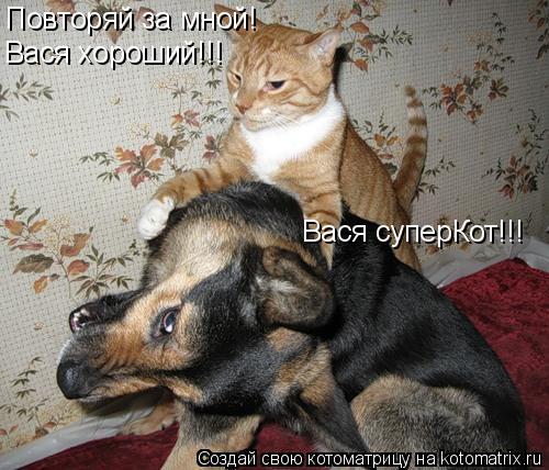Котоматрица: Повторяй за мной! Вася хороший!!! Вася суперКот!!!