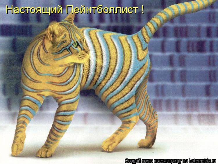 Настоящий Пейнтболлист !... Котоматрица: Настоящий Пейнтболлист !