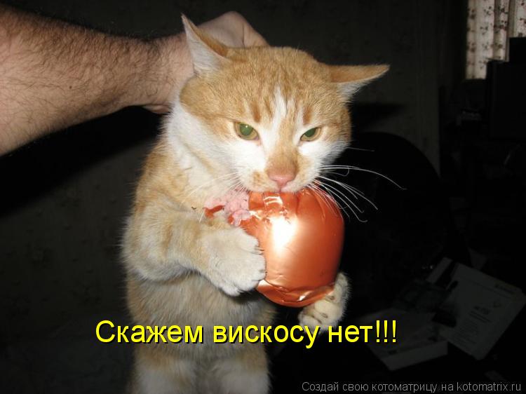 Котоматрица: Скажем вискосу нет!!!
