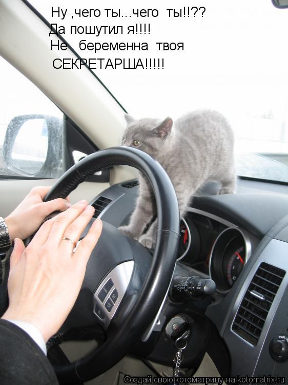 Котоматрица: Ну ,чего ты...чего  ты!!?? Да пошутил я!!!! Не   беременна  твоя СЕКРЕТАРША!!!!!