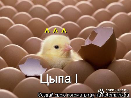 Котоматрица: Цыпа I ^ ^ ^