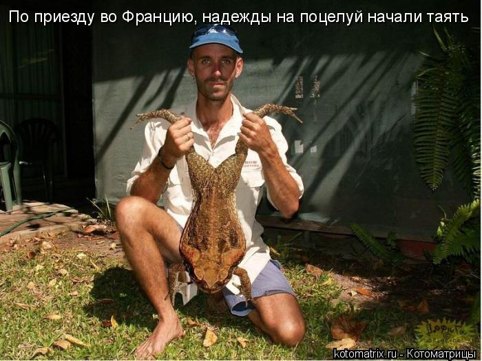 Котоматрица: По приезду во Францию, надежды на поцелуй начали таять