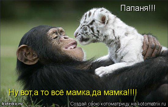 Папаня!!! Ну вот,а то всё мамка,да мамка!!!!... Котоматрица: Папаня!!! Ну вот,а то всё мамка,да мамка!!!!