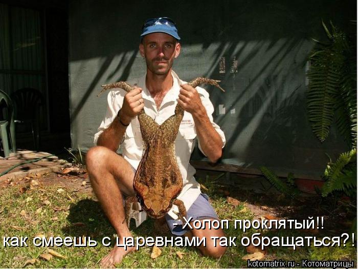 - Холоп проклятый!! как смеешь с царевнами так обращаться?!... Котоматрица: - Холоп проклятый!! как смеешь с царевнами так обращаться?!
