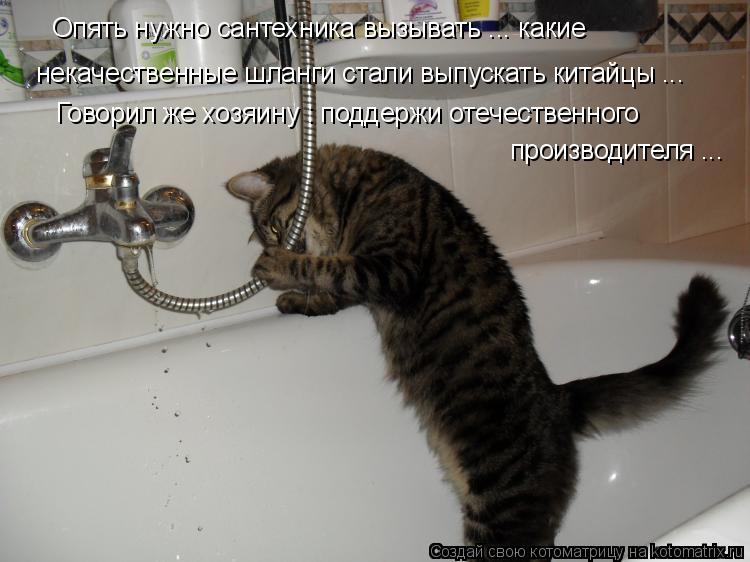 Опять нужно сантехника вызывать ... какие некачественные шланги стали выпускать китайцы ... Говорил ... Котоматрица: Опять нужно сантехника вызывать ... какие некачественные шланги стали выпускать китайцы ... Говорил же хозяину : поддержи отечественного пр