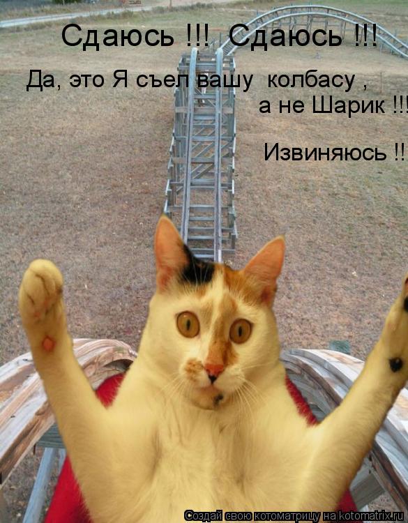 Сдаюсь !!! Сдаюсь !!! Да, это Я съел вашу колбасу , а не Шарик !!! Извиняюсь !!!... Котоматрица: Сдаюсь !!! Сдаюсь !!! Да, это Я съел вашу колбасу , а не Шарик !!! Извиняюсь !!!