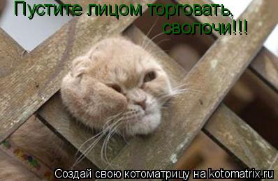Пустите лицом торговать, сволочи!!!... Котоматрица: Пустите лицом торговать, сволочи!!!
