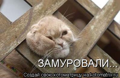 Котоматрица: ЗАМУРОВАЛИ...