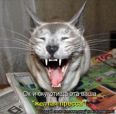 Котоматрица: Ох и скукотища эта ваша  "желтая пресса"!
