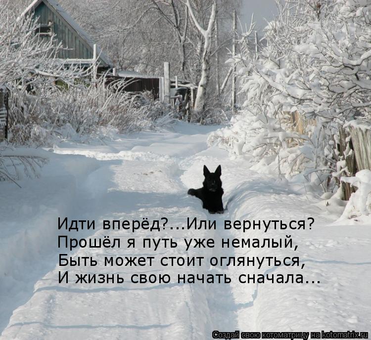 Котоматрица: Идти вперёд?...Или вернуться? Прошёл я путь уже немалый, Быть может стоит оглянуться, И жизнь свою начать сначала...