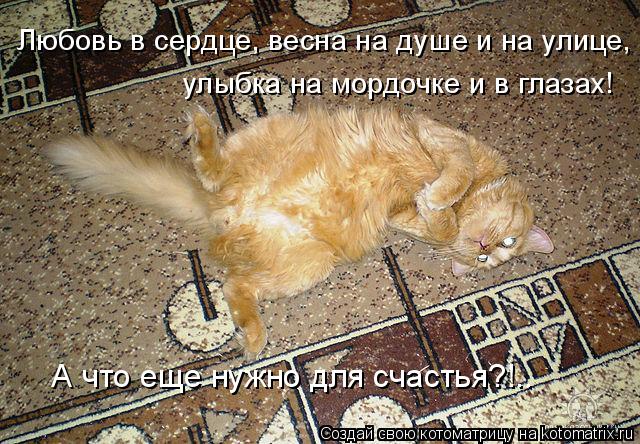 Котоматрица: Любовь в сердце, весна на душе и на улице,   А что еще нужно для счастья?!.. улыбка на мордочке и в глазах!