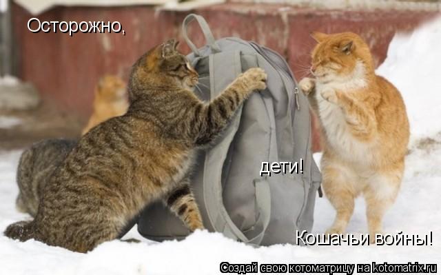 Котоматрица: Осторожно, дети! Кошачьи войны!