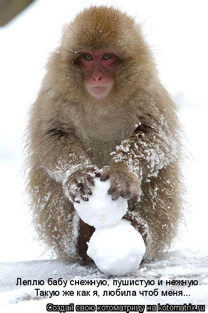 Котоматрица: Леплю бабу снежную, пушистую и нежную Такую же как я, любила чтоб меня...