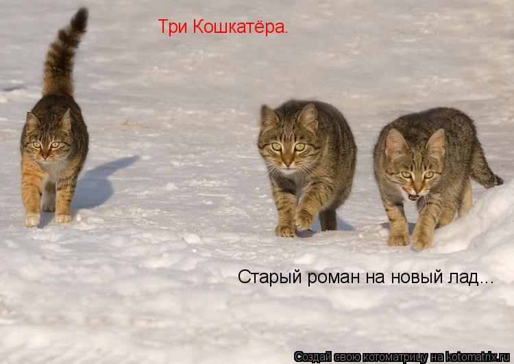 Котоматрица: Три Кошкатёра. Старый роман на новый лад...